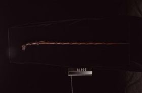 Image representing Cane.