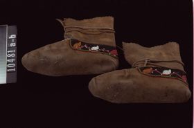 Image representing Moccasin.