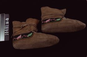 Image representing Moccasin.