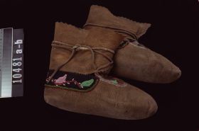 Image representing Moccasin.