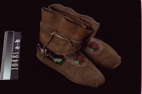 Image representing Moccasin.