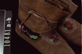 Image representing Moccasin.