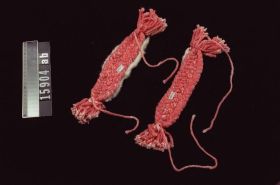 Image representing Anklet.