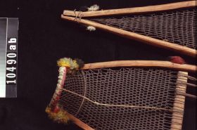 Image representing Snowshoe.