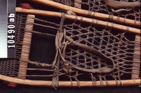 Image representing Snowshoe.