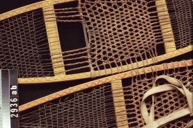 Image representing Snowshoe.