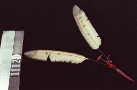 Image representing Feather.