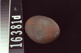 Image representing Stick; Stone.
