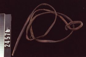 Image representing Skin.