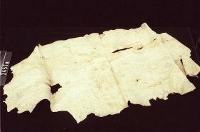 Image representing Skin.