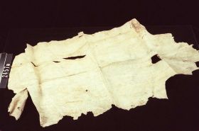 Image representing Skin.