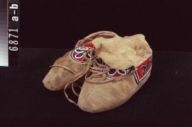 Image representing Moccasin.