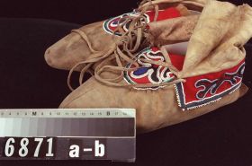 Image representing Moccasin.