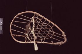 Image representing Snowshoe.