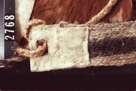 Image representing Saddle.