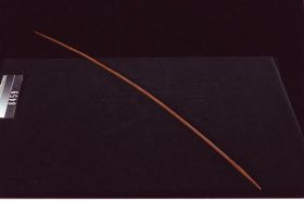 Image representing Needle.