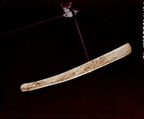 Image representing Stripper.