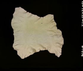 Image representing Prepared Material.