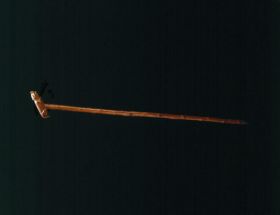 Image representing Cane.
