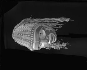 Image representing Mask.