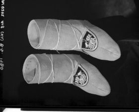 Image representing Moccasin.