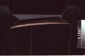 Image representing Canoe, model.