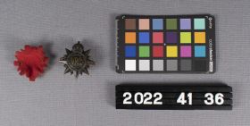 Image representing Badge, Cap.