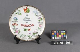 Image representing Plate, Souvenir.