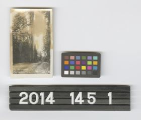 Image representing Photograph.
