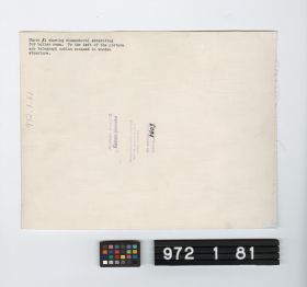 Image representing Print, Photographic.