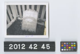 Image representing Print, Photographic.