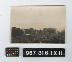 Image representing Print, Photographic.