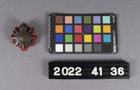Image representing Badge, Cap.
