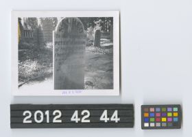 Image representing Print, Photographic.