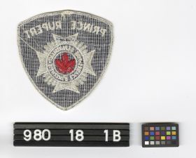 Image representing Badge, Fire Insignia.