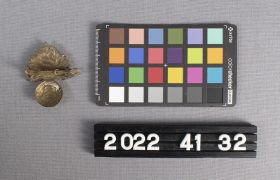 Image representing Badge, Cap.