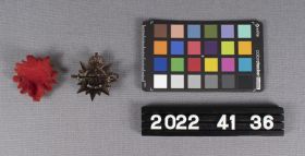 Image representing Badge, Cap.
