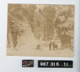 Image representing Print, Photographic.