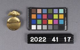 Image representing Badge, Cap.