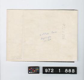 Image representing Print, Photographic.