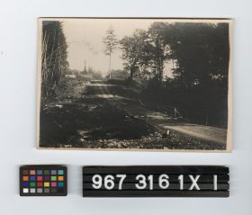 Image representing Print, Photographic.