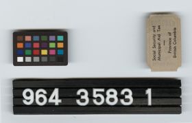 Image representing Ticket.