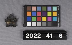 Image representing Badge, Cap.