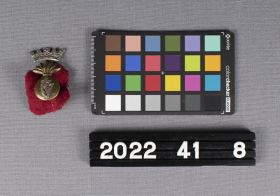 Image representing Badge, Cap.