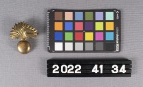 Image representing Badge, Cap.