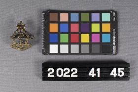 Image representing Badge, Cap.