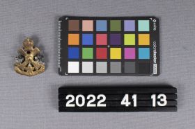 Image representing Badge, Cap.