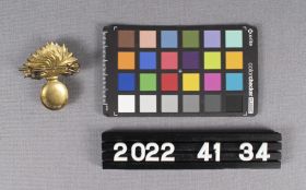 Image representing Badge, Cap.