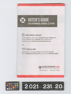 Image representing Guide, Voter's.