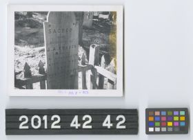 Image representing Print, Photographic.